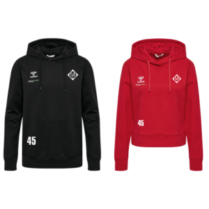 HUMMEL Hoodie GO 2.0